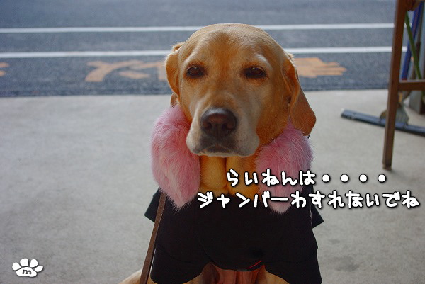 s-myu2009_1228_21 s-myu2009_1228_21