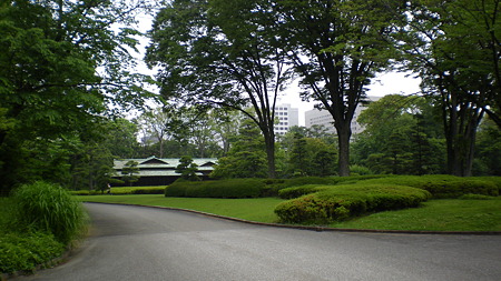IMGP5124
