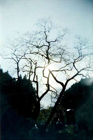 Image0991(gakkenflex)