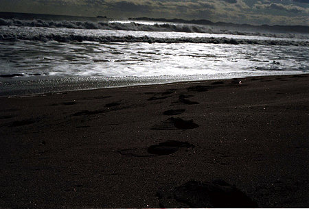 Image1072(CANON EOS 7)