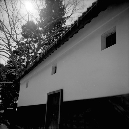 Image0015（PONIX）