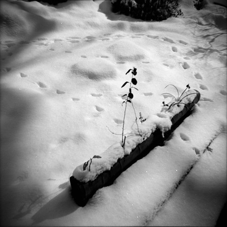 Image0017（PONIX）