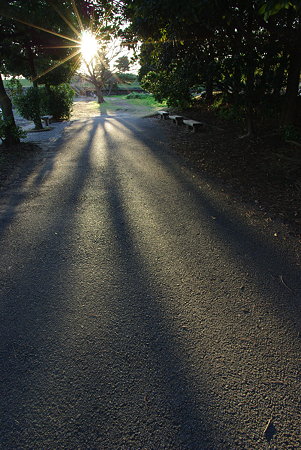 IMGP0593