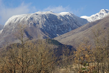 IMGP1318