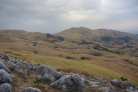 IMGP1549