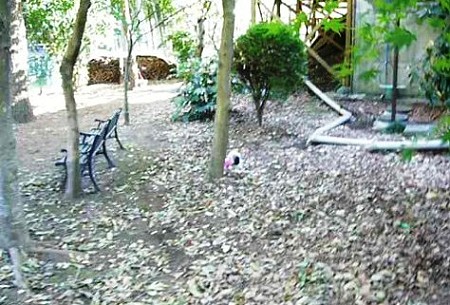P1050934_0001