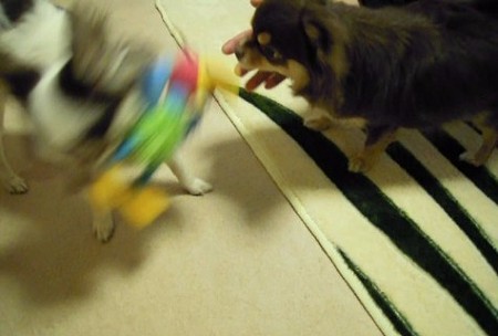 DSCN0930_0004