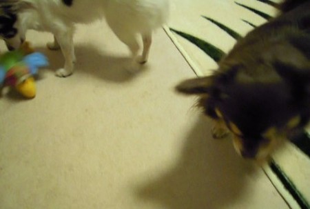 DSCN0930_0007
