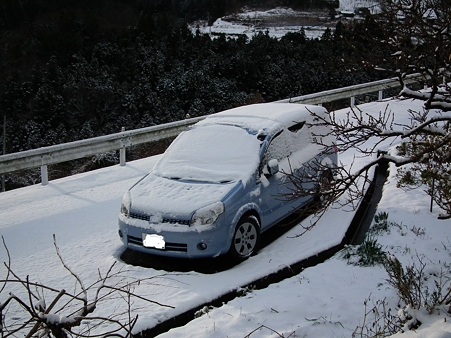 雪化粧