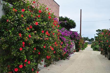 46. Taketomi town