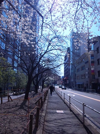 国立新美術館へ向かう道11040607