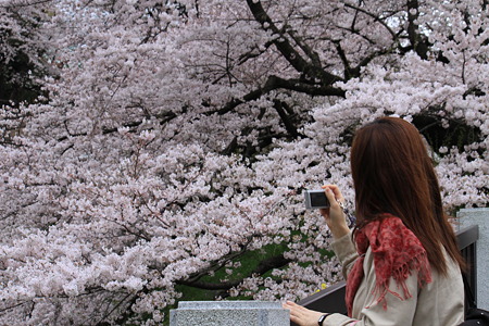 きれいに撮れましたかぁ!