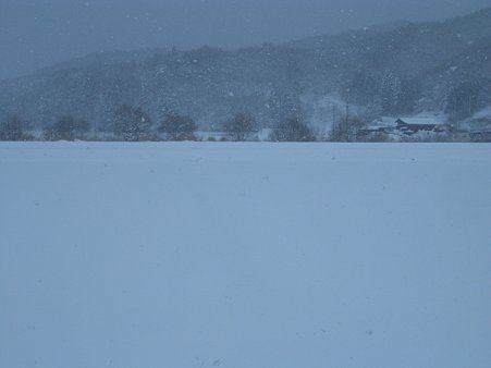 雪の中国 100