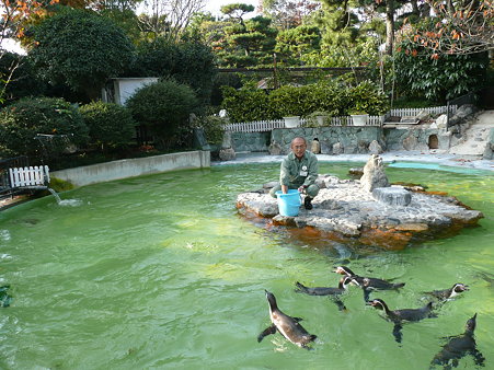 <b>京都市動物園</b> ４ ペンギン フラミンゴ