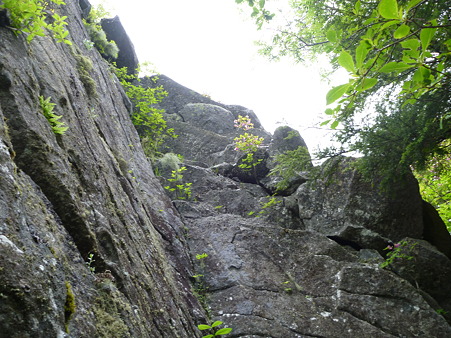 P1000977