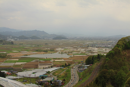 南陽市　白竜湖　ブドウ畑より