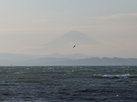 091115-江の島 (29)