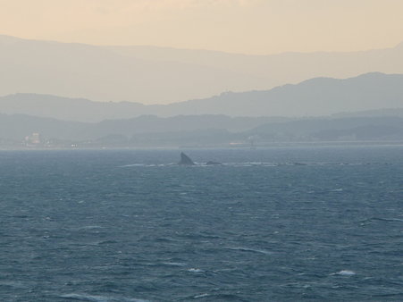 091115-江の島 (41)
