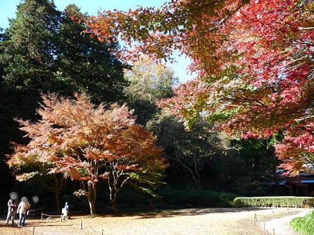 091204-明月院庭園 (38)