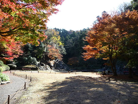 091204-明月院庭園 (57)