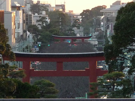 091204-八幡さま (9)