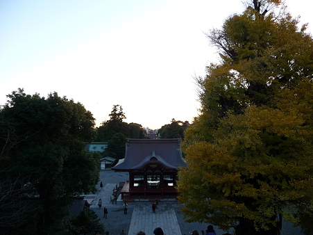 091204-八幡さま (10)