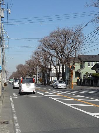 100120-海軍道路・上瀬谷ベース (4)