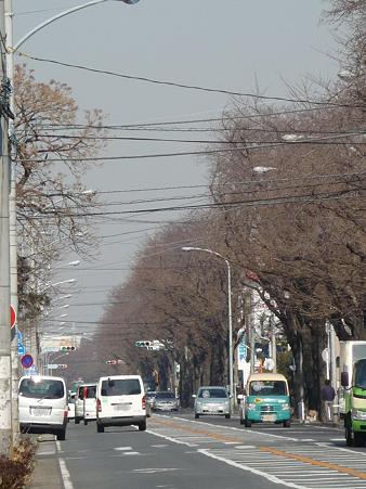 100120-海軍道路・上瀬谷ベース (5)