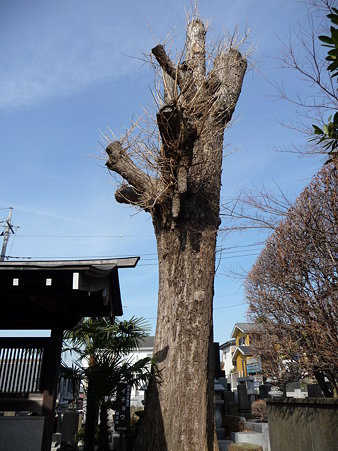 100120-3.喜昌寺 (5)