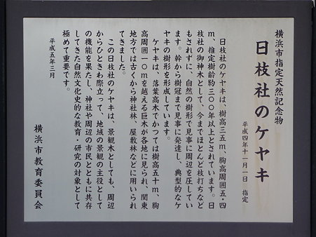 100120-日枝社 (5)