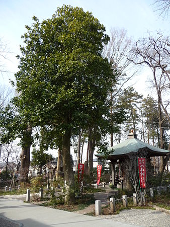 100120-4.徳善寺 (8)