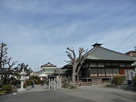100120-5.寶蔵寺 (9)
