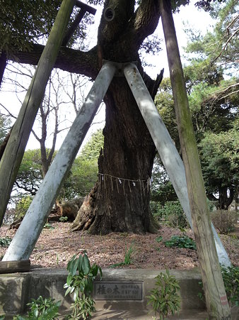 100120-6.西福寺 (9)