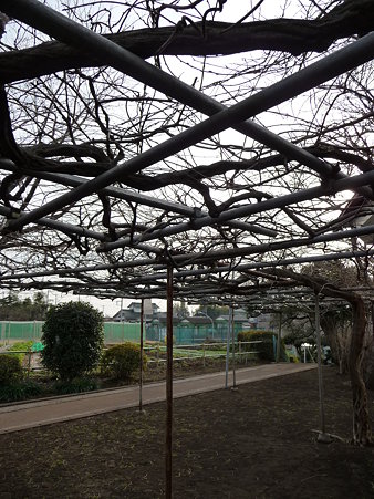 100120-8.全通院勢至堂 (9)