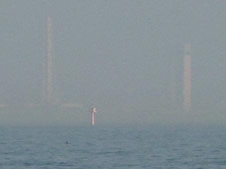 100224-本牧海釣り桟橋 (42)