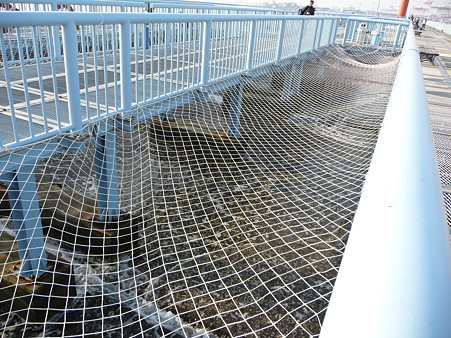 100219-大黒海釣り桟橋 (4)