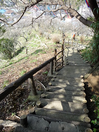 100301-田浦梅林 (89)