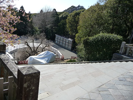 100311-八幡さま (27)
