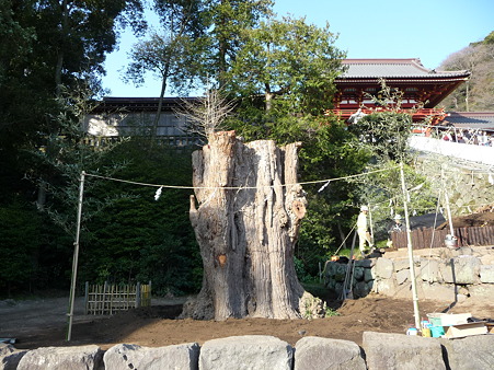 100319-八幡さま (8)