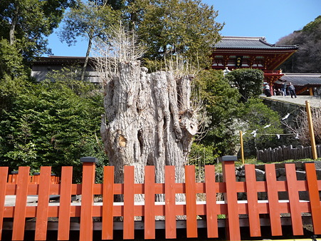 110225-鶴岡八幡宮 (35)