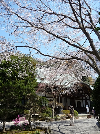 110406-妙本寺 (35)