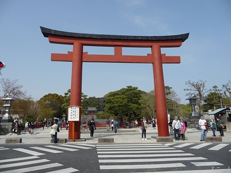 110411-八幡さま (1)