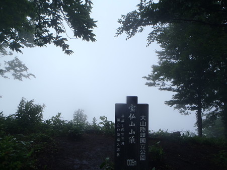 P6300033
