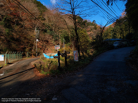 大野山ハイキングコース