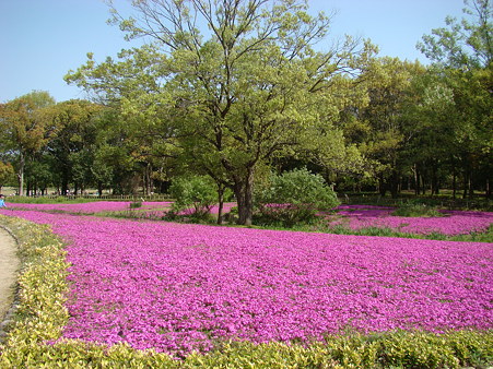 2010-4-29 万博公園