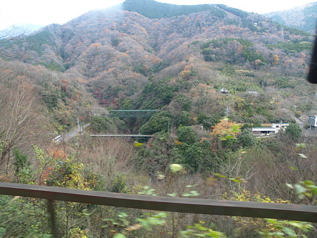 箱根登山電車の車窓(塔ノ沢駅→大平台駅)8