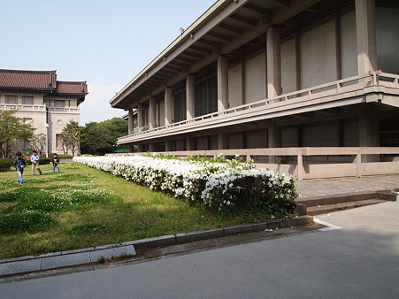 改修中の東洋館