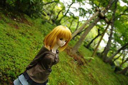 IMGP9976