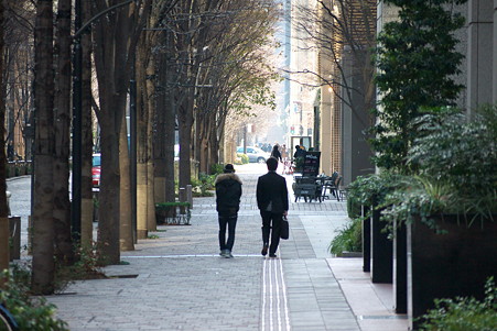 2011.01.09　丸の内仲通り　小寒