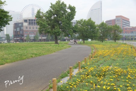 Yokohama 055